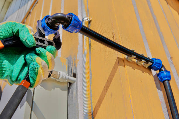 Best Affordable Plumbing Services  in Kachina Village, AZ
